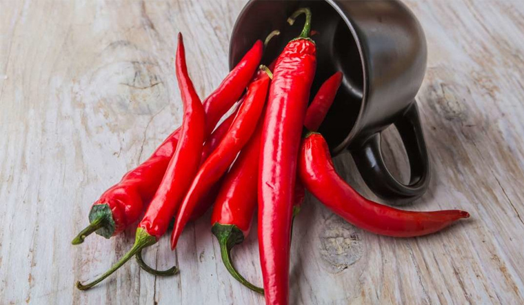 Giá ớt hôm nay 28/03/2022: Giá ớt trên cả nước tăng nhẹ, cao nhất 15.000 đồng/kg