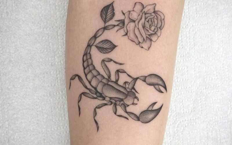 Hình xăm Bọ Cạp hay hình xăm cung Thiên Yết thể hiện cá tính mạnh mẽ Với  hơn 50 hình xăm đẹp ý nghĩa sẽ gi  Scorpio tattoo Scorpio sign tattoos