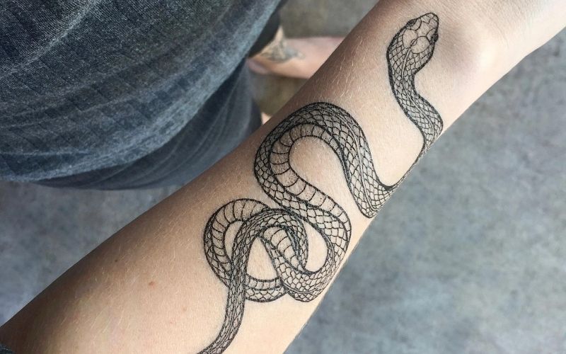 Hình xăm dán con rắn, biểu tượng cho sự lột xác mạnh mẽ
