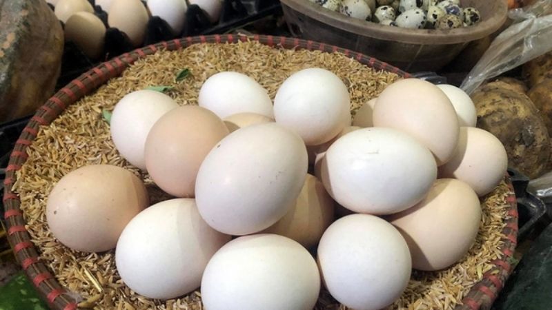 Giá trứng gà hôm nay 29/03 Giá trứng gà hôm nay 29/03