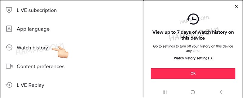 TikTok thử nghiệm tính năng lịch sử xem