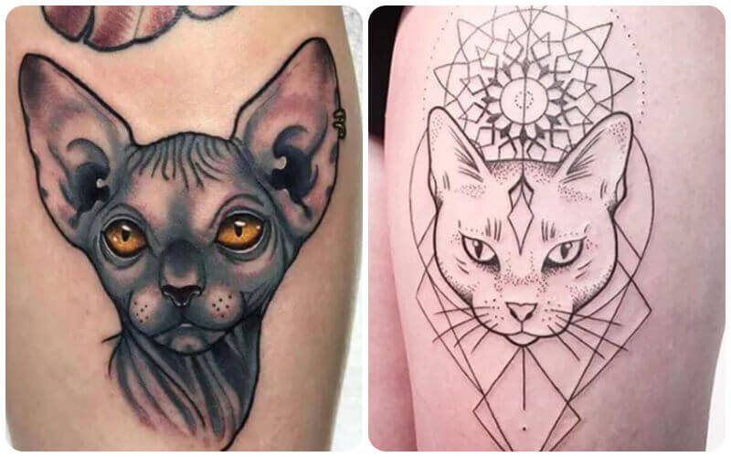 Mèo xăm SPHYNX  Quý ông Mèo Mặc vest  TooArt  Tattoo and Piercing Salon