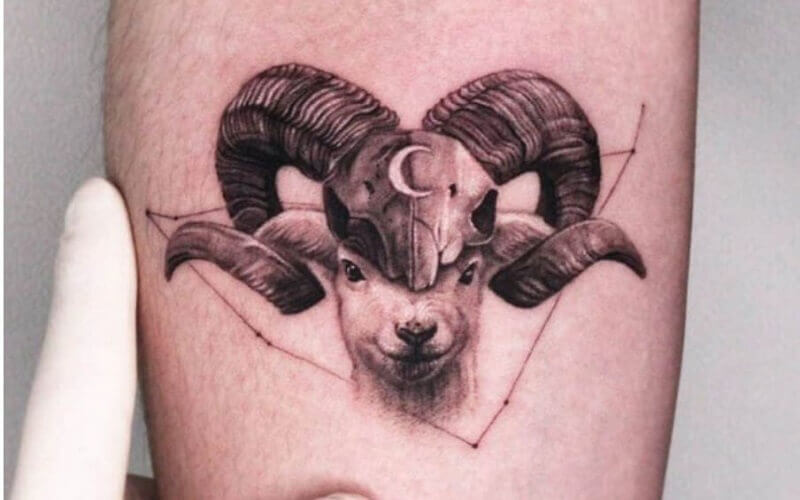 16 Sheep Tattoo Ideas