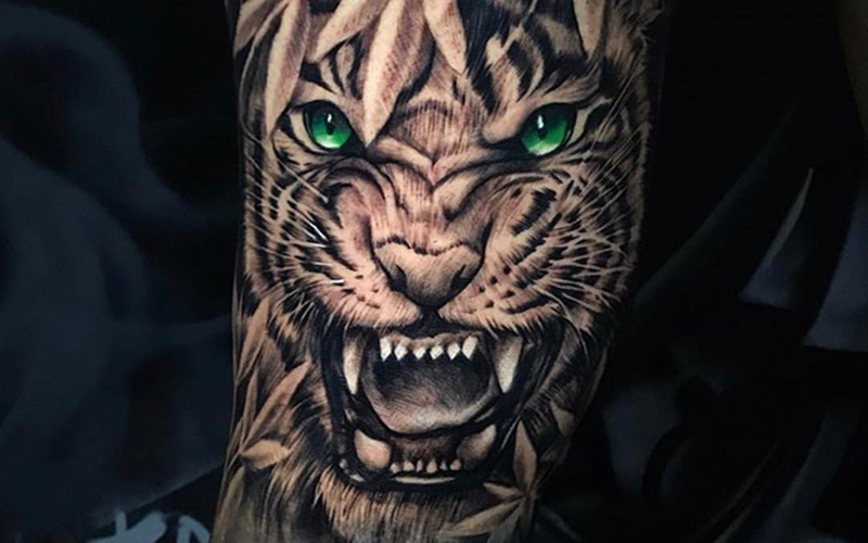 Hὶnh xǎm con hổ ở cánh tay