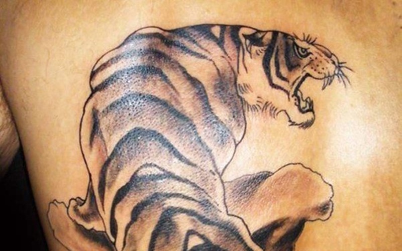 xăm hình nghệ thuật con hổ 3d đẹp nhất