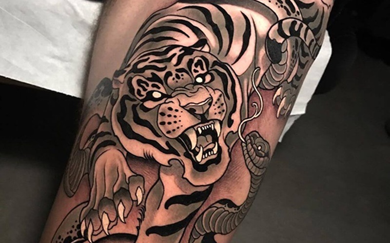 Tattoo hình xăm con cọp ở bắp tay