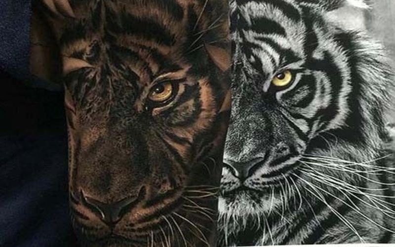 Tổng hợp 60+ hình xăm con hổ đẹp nhất, ý nghĩa hình xăm con hổ