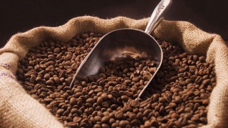 Giá cà phê trong nước hôm nay