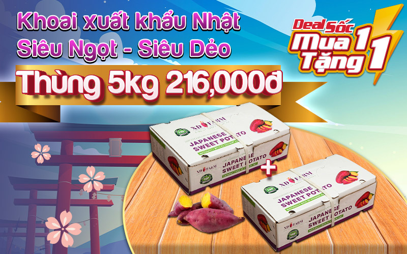 Khoai lang Nhật loại đặc biệt, hàng xuất khẩu thùng 5kg, mua 1 tặng 1