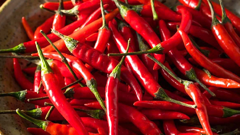 Giá ớt dao động từ 16.000 - 24.000 đồng/kg.