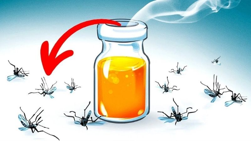 Mùi hương của dầu bạch đàn có thể đuổi sâu bướm, động vật gặm nhấm, ruồi, rệp, gián và muỗi