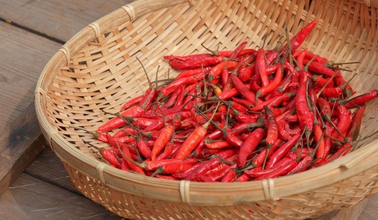 Giá ớt hôm nay 02/04/2022: Giá ớt chỉ thiên tăng trở lại trên cả 3 miền