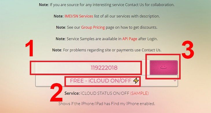 Chọn FREE - iCLOUD ON/OFF > Nhập IMEI của iPhone