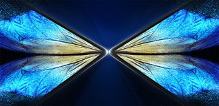 Vivo tổ chức sự kiện ngày 11/04/2022: Dự kiến ra mắt smartphone Vivo X Note, Vivo X80 và máy tính bảng Vivo Pad