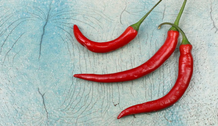Giá ớt hôm nay 04/04/2022: Giá ớt cả nước đều tăng, cao nhất 25.000 đồng/kg