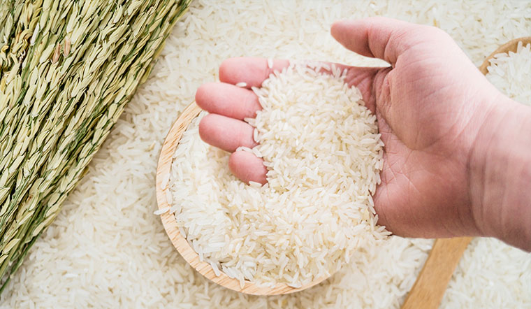 Giá lúa gạo hôm nay 04/04/2022: Tăng giảm trái chiều ở vài giống lúa nếp