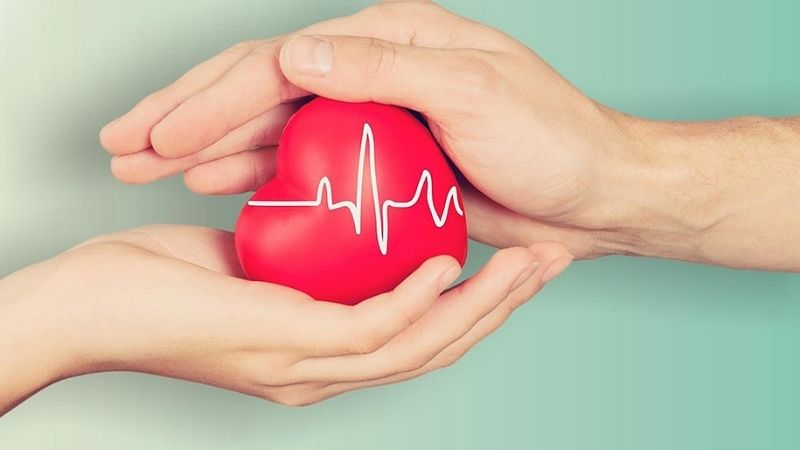 Chiết xuất hạt nho giúp bảo vệ chống lại các tổn thương tim