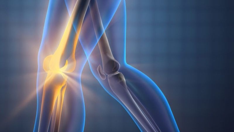 Chiết xuất hạt nho giúp tăng sức mạnh của xương