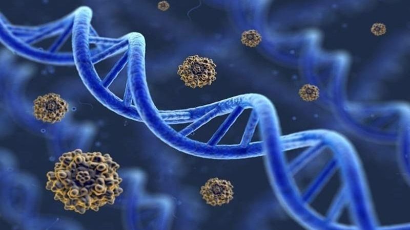 Chiết xuất hạt nho giúp giảm nguy cơ mắc một số bệnh ung thư