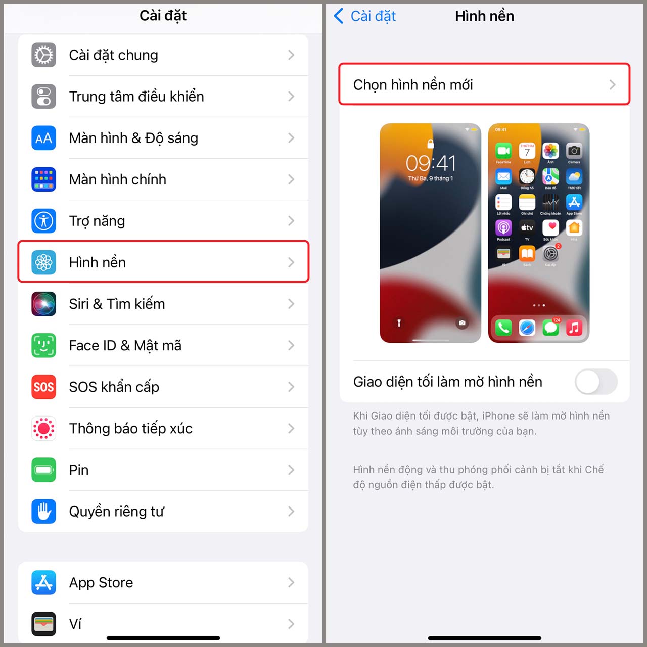 Hình Nền iPhone 6 Đẹp Nhất, Độc Đáo và Sáng Tạo