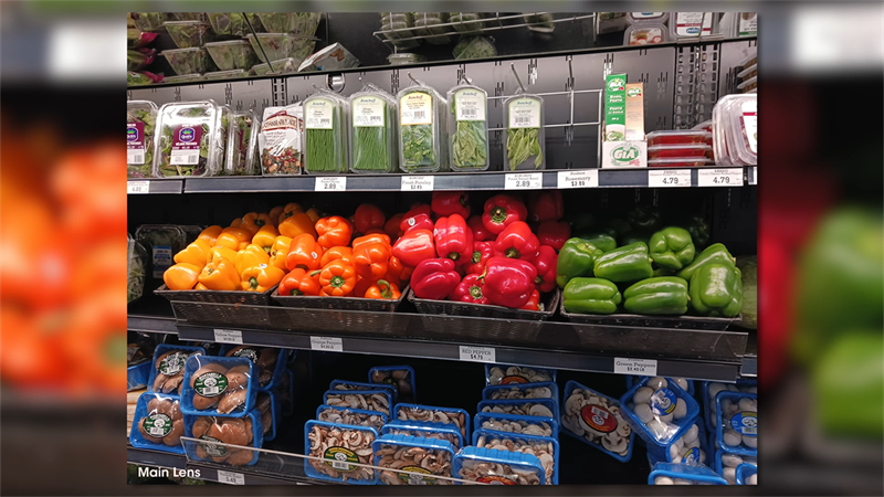 Hình ảnh được chụp bởi camera của Samsung Galaxy A13 Hình ảnh được chụp bởi camera của Samsung Galaxy A13