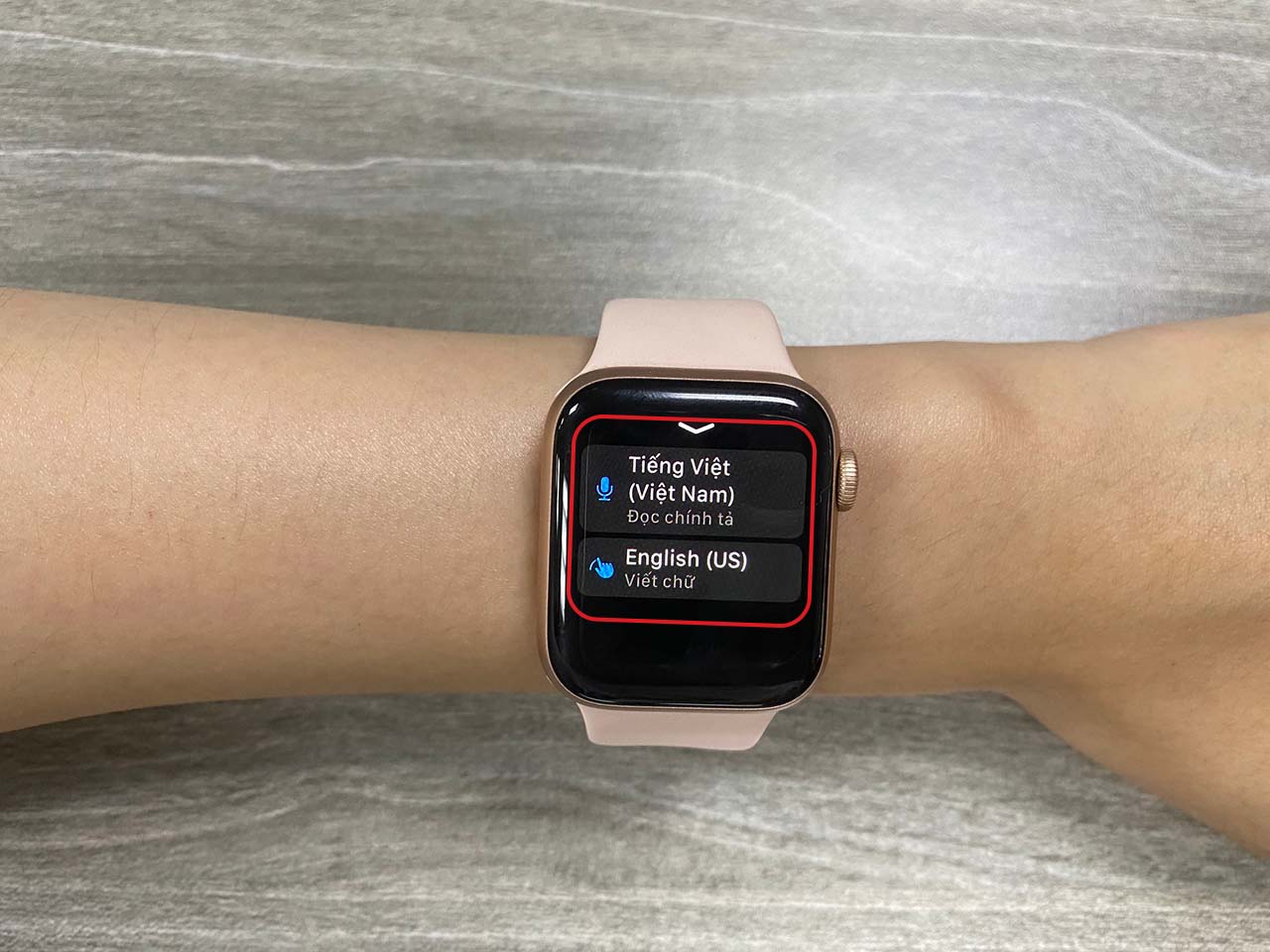 Lướt web trên Apple Watch dễ hay khó? Xem ngay để biết câu trả lời Lướt web trên Apple Watch dễ hay khó? Xem ngay để biết câu trả lời