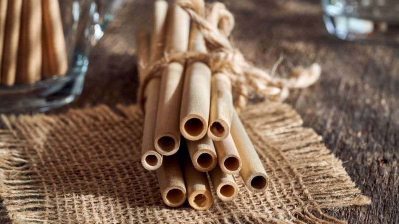 What is a bamboo straw? Learn the process and how to make bamboo straws