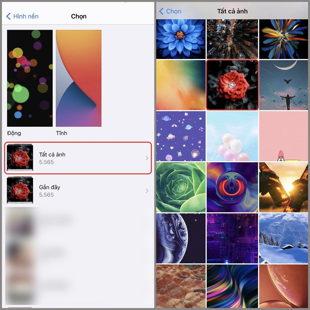 Tải ngay bộ hình nền mới đầy nghệ thuật của Xiaomi MIX Fold 3