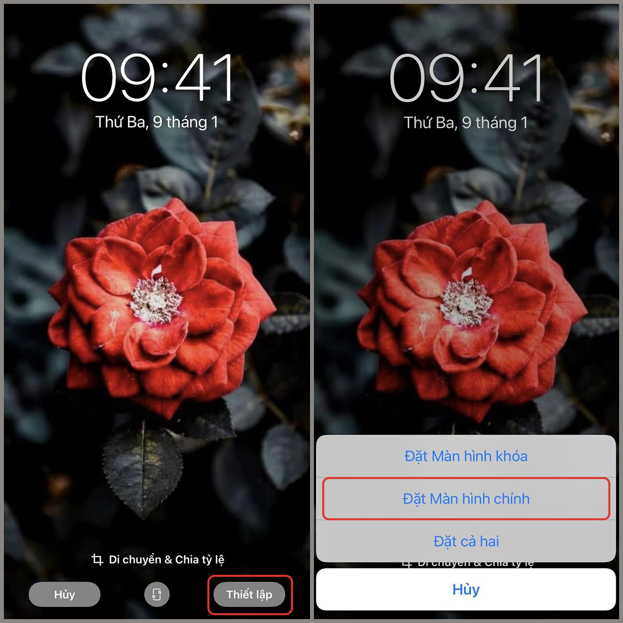 Iphone Xr Đỏ Ảnh nền  Tải xuống điện thoại di động của bạn từ PHONEKY