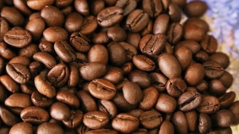 Giá cà phê trong nước hôm nay