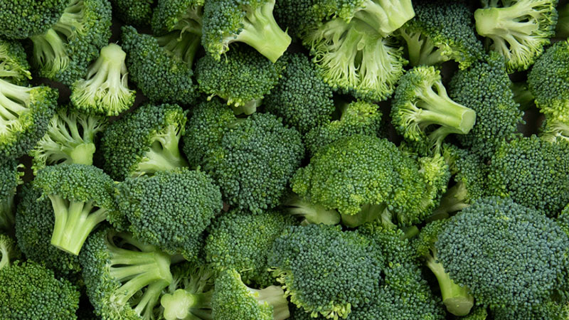 Bông cải xanh chứa nhiều chất xơ, tốt cho đường ruột