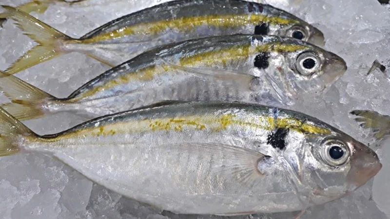 How to choose fresh and delicious yellow fish