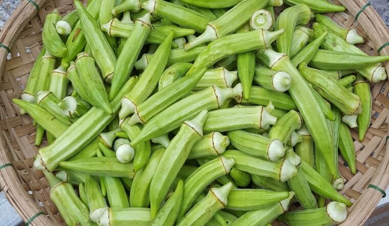 Cách uống đậu bắp trị khớp đau lâu năm, đơn giản lại hiệu quả
