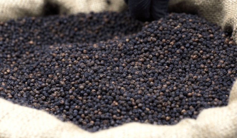 Giá tiêu hôm nay 11/4/2022 trong nước