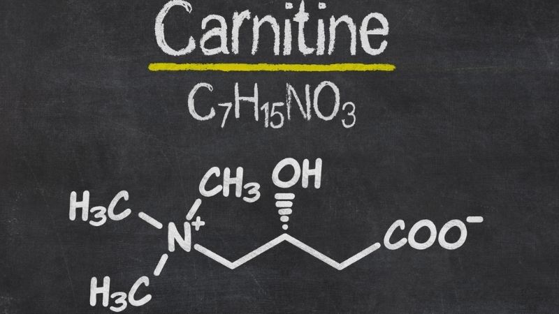 L-Carnitine là gì? Lợi ích sức khỏe, liều dùng và lưu ý khi sử dụng