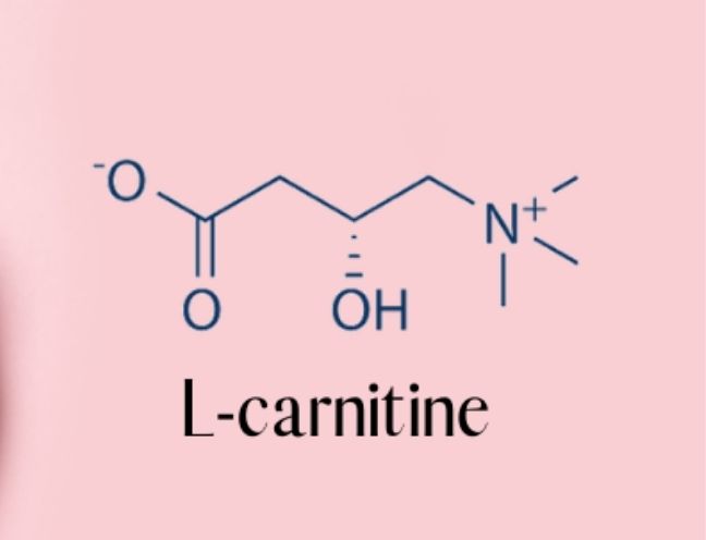 Tìm hiểu l carnitine là gì và tác dụng của chúng đối với sức khỏe