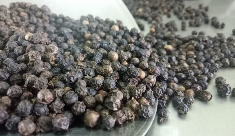 Giá tiêu hôm nay 12/4/2022: Đi ngang, dao động 75.000 - 77.500 đồng/kg