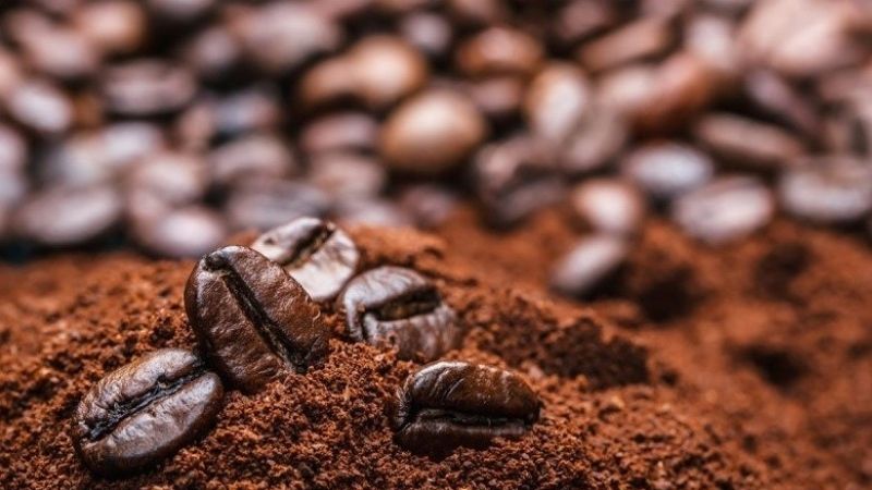 Giá cà phê trong nước hôm nay