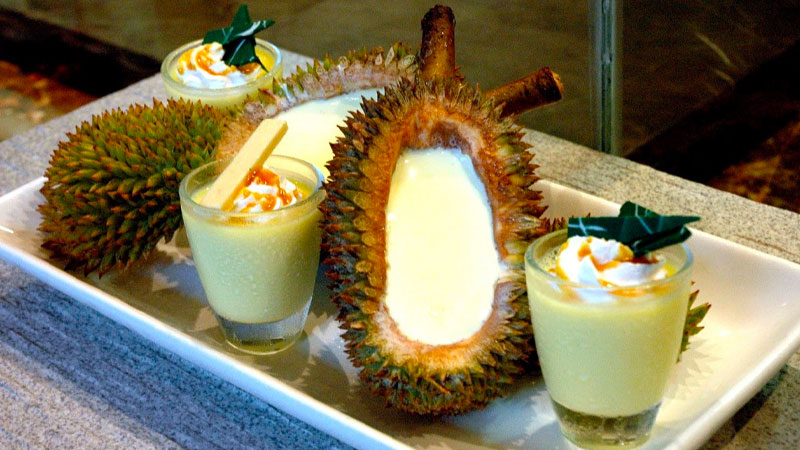 Panna cotta sầu riêng