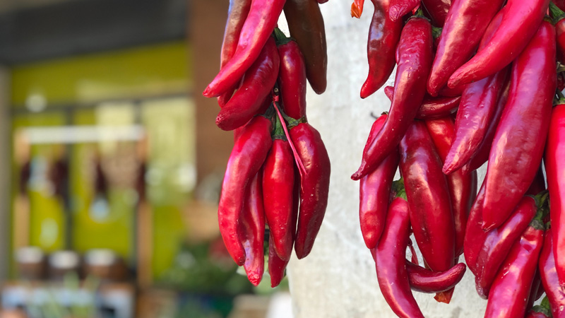 Giá ớt đang dao động từ 26.000 - 40.000 đồng/kg.