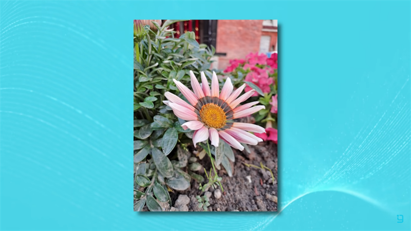 camera galaxy a33 camera galaxy a33