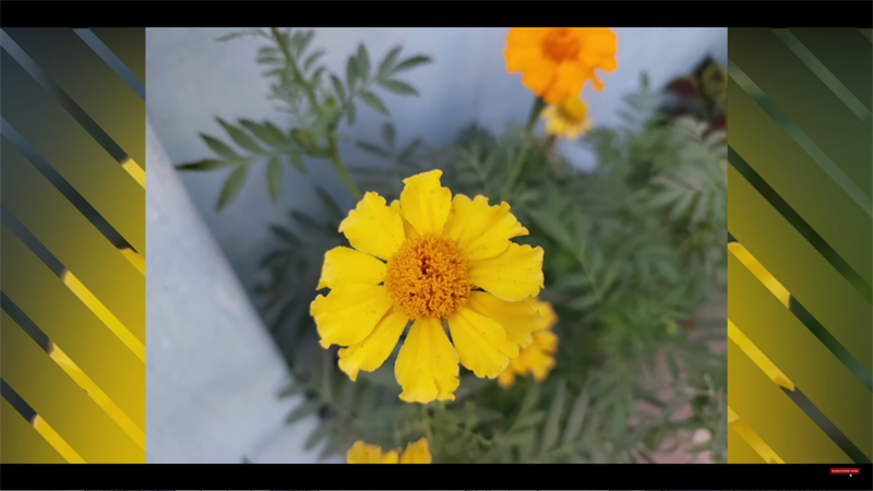 camera galaxy a73 camera galaxy a73