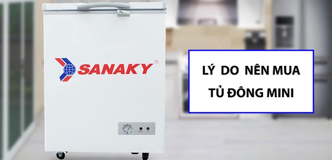 4 lý do nên bạn nên mua tủ đông mini