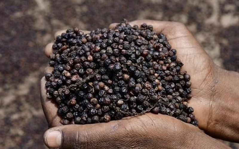 Giá tiêu thế giới