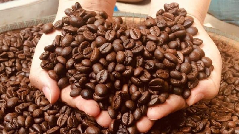 Giá cà phê trong nước hôm nay