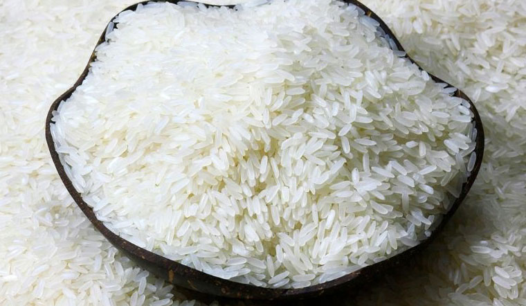 Giá lúa gạo hôm nay 14/04/2022: Giá lúa, nếp tăng từ 150-350 đồng/kg