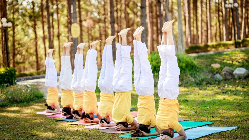Sivananda yoga giúp tìm được sự bình an, an yên trong tận sâu tâm hồn