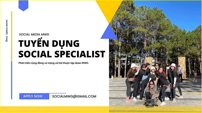 anh dau bai anh dau bai