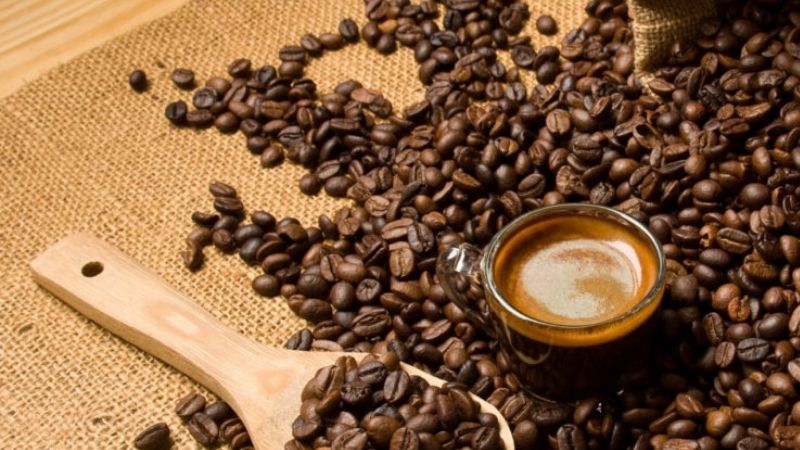 Giá cà phê trong nước hôm nay