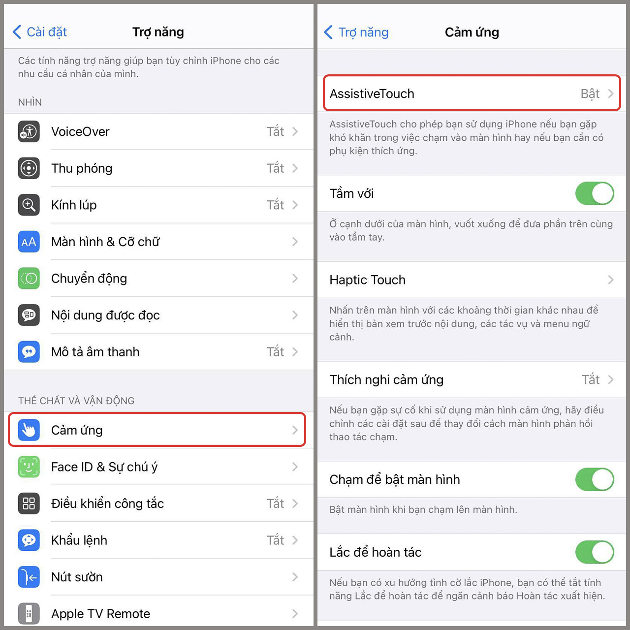 Hình dạng nút trong iphone là gì